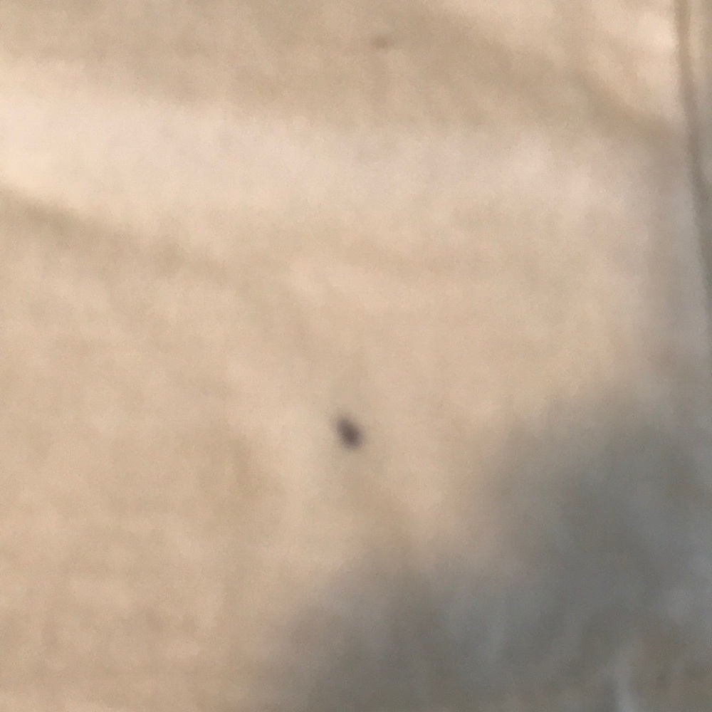 akademiks men’s t shirt - Picture 5 of 5